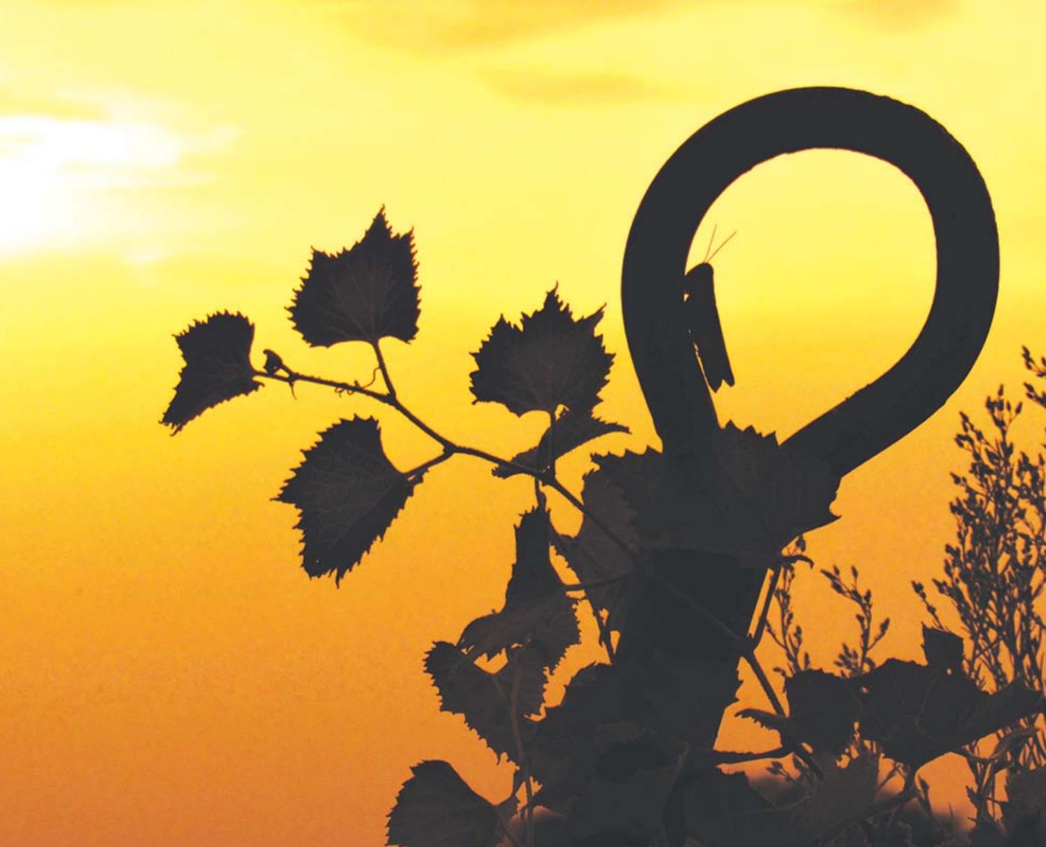 Jackson takes action Kingfisher Times & Free Press