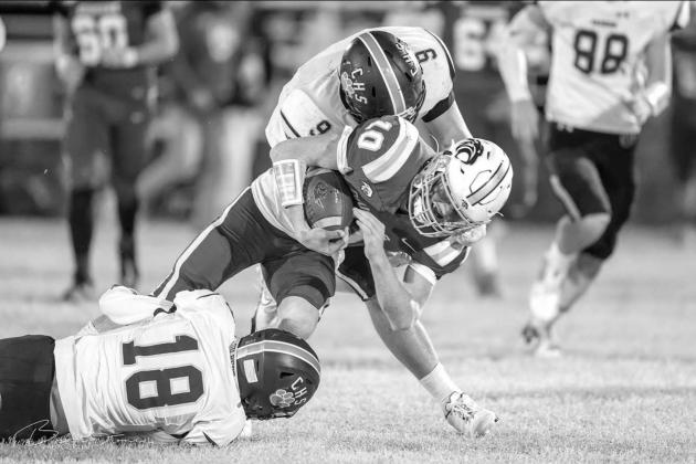 Woodland, meet woodshed