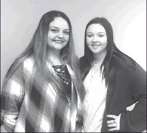 Article Image Alt Text