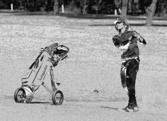 Yellowjackets dominate qualifier 