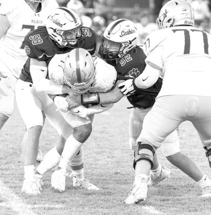 Little reason to rejoice