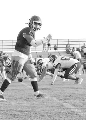 Article Image Alt Text