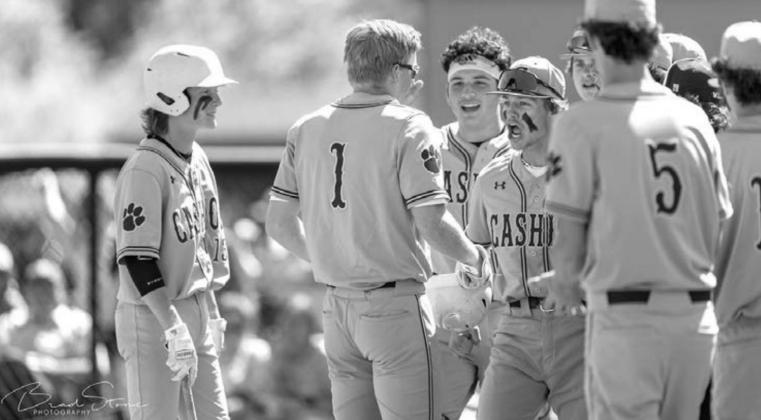 ‘Cats bats too much for Am-Po