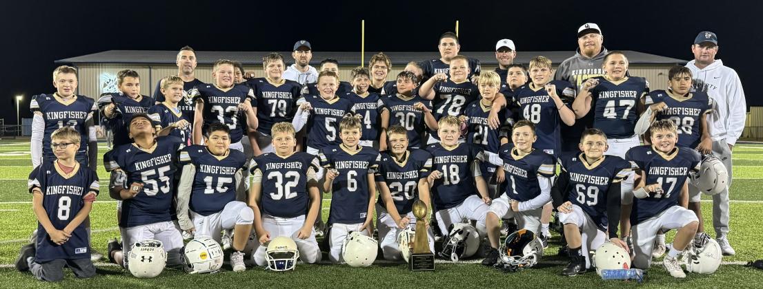 Article Image Alt Text