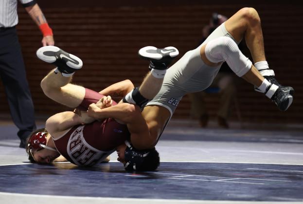 Article Image Alt Text