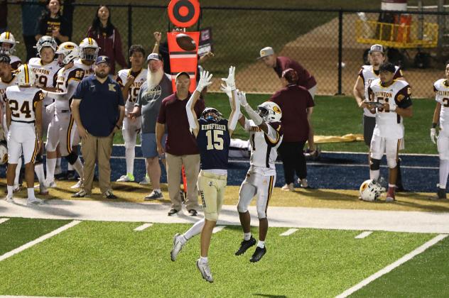 Article Image Alt Text