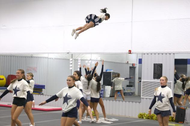 Article Image Alt Text