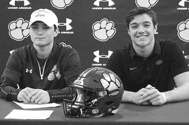 Article Image Alt Text