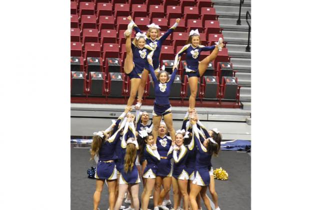 Article Image Alt Text