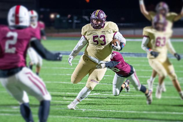 Article Image Alt Text