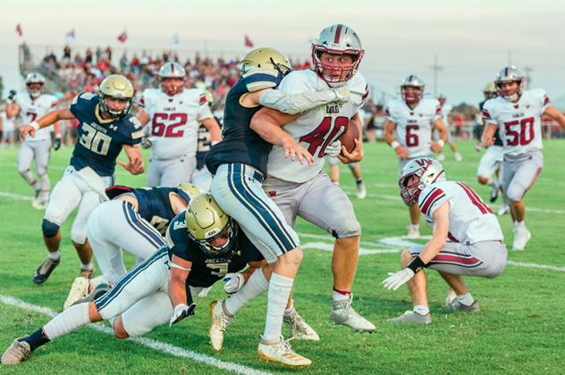 Article Image Alt Text