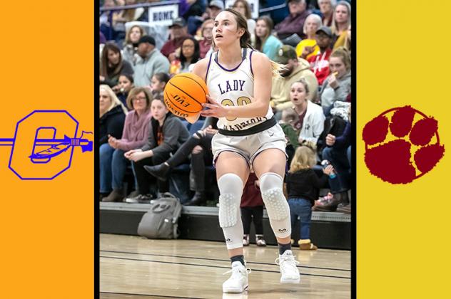 Article Image Alt Text