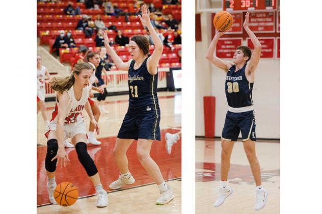 Article Image Alt Text