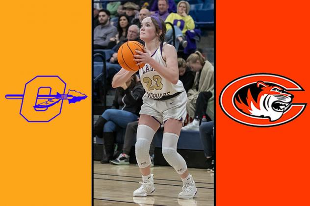 Article Image Alt Text