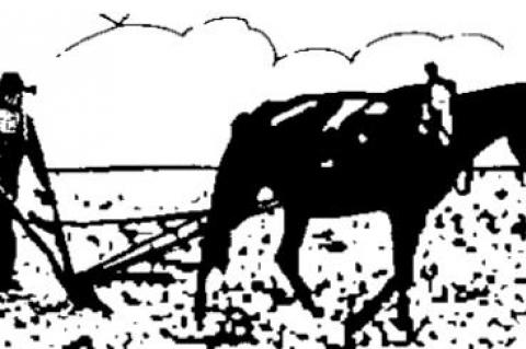 Who is attacking democracy, really?