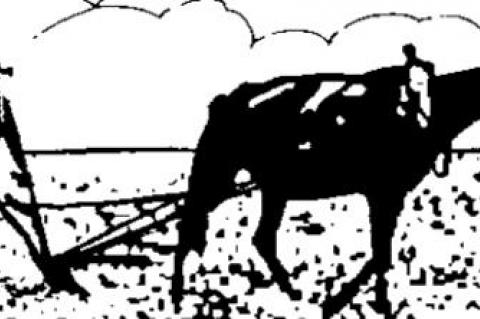 Why IRS reports on $600 bank accounts?