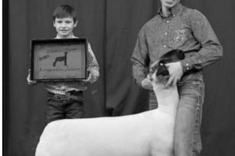 Live stock show champs, reserve champs listed
