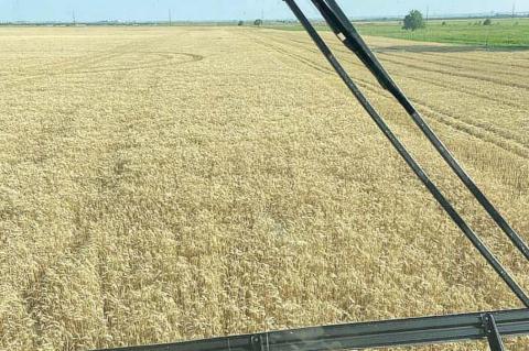 Rain, Rain, Stay Away