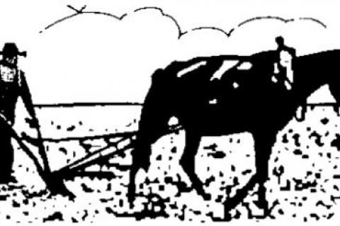 Some pluses of Afghanistan occupation