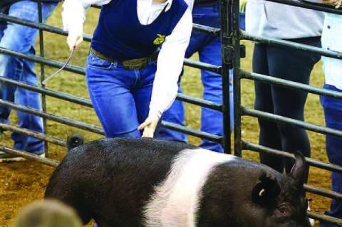 ‘We fifi nally did it!’