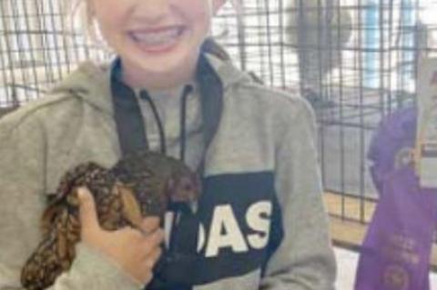 Junior Livestock Show Reserve Grand Champions