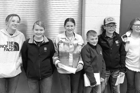 Local 4-H teams, individuals shine at judging competition