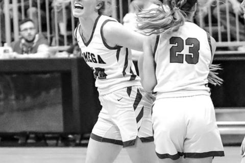 Whippets good; Lomega better