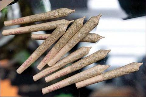 State’s newest cash cow?