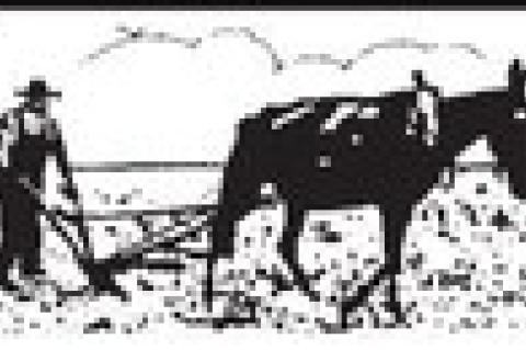 VIEW from behind the plow