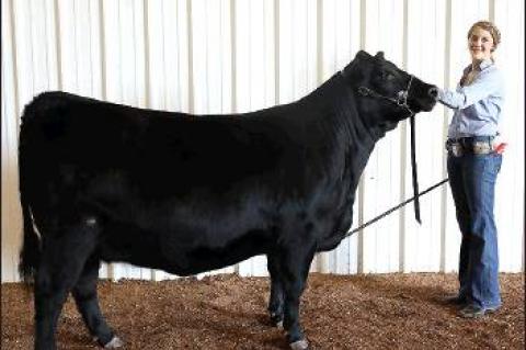 Article Image Alt Text