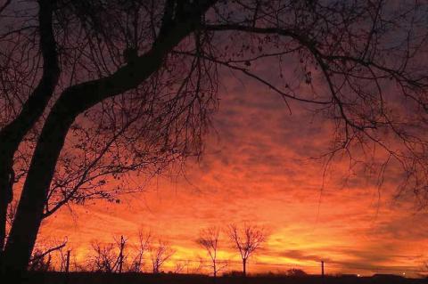 A TALE OF TWO HOLIDAYS