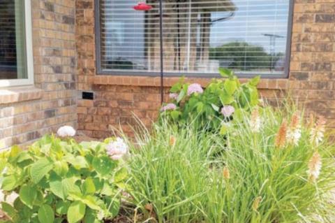 Who, us? Westfahls surprised by Silver Spade