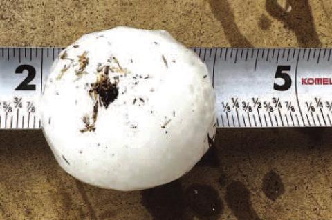 Oh, Hail. Not Again.