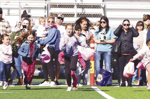 READY... SET ... HUNT!