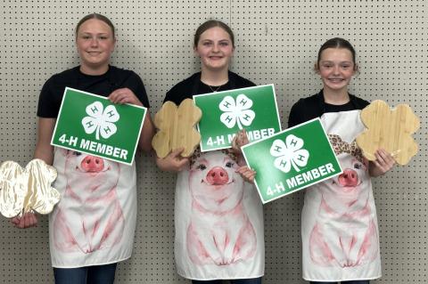 Article Image Alt Text