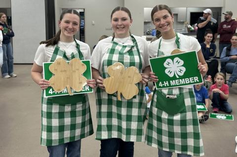 Article Image Alt Text