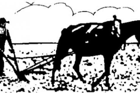 VIEW from behind the plow