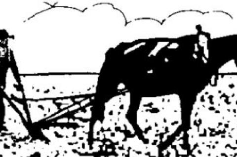 Sad day for junk media