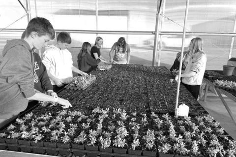 Okarche: Celebrating FFA Week and our successes