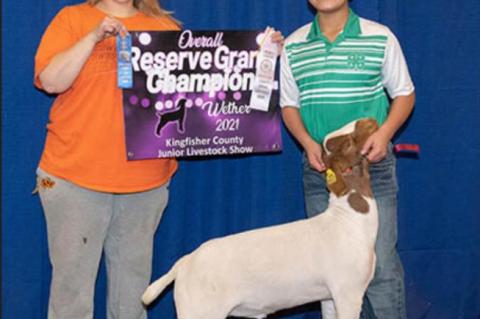 COUNTY SPRING STOCK SHOW RESULTS