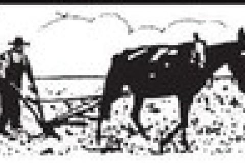 VIEW from behind the plow