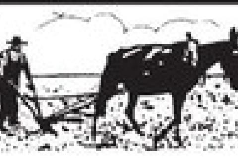 VIEW from behind the plow