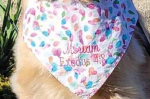 Comforters deployed in aftermath of shooting