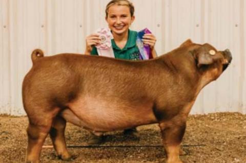 kingfisher County Fair Livestock show winners