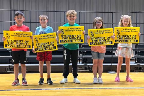 Article Image Alt Text