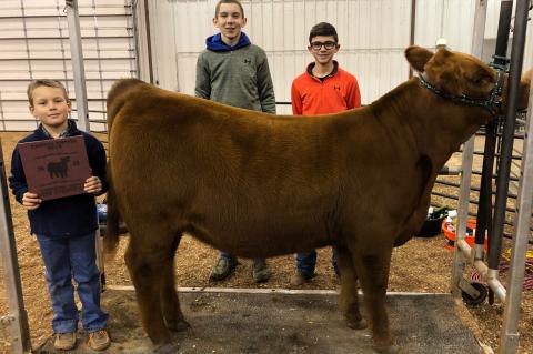 Article Image Alt Text