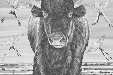 ‘Homecoming’ on display at local NBC through Friday