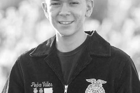 Collins, Valles running for state office