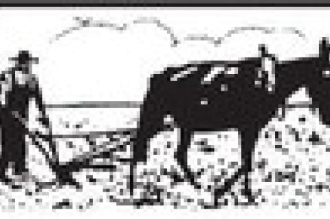 VIEW from behind the plow