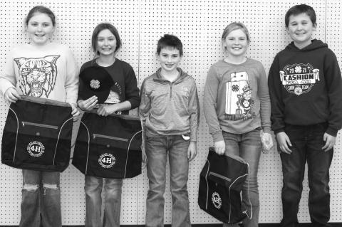 County 4-H’ers compete in quiz bowl, skillathon